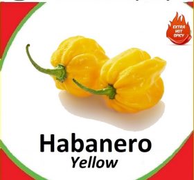 Yellow Habanero Seeds