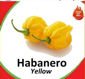 Yellow Habanero Seeds