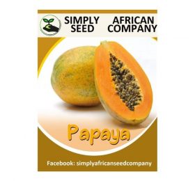 Papaya (Paw-Paw) Seeds