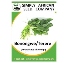 Amaranth,  Amaranthus Thunbergii (Bonongwe/Terere) Seeds