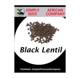 Black Lentil Seeds
