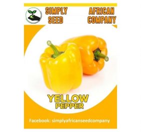 Yellow Pepper Seeds