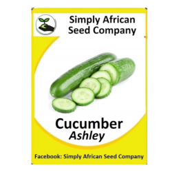 Cucumber (Ashley)