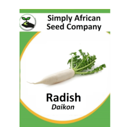 Radish (Daikon) 30’s