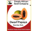 Dwarf Papaya Sunrise Solo (Papino)