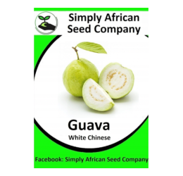 Guava Chinese White 20’s