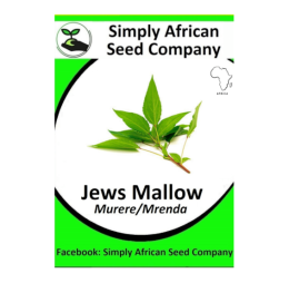 Jews Mallow Seeds 30’s