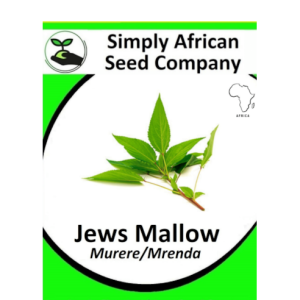 Jews Mallow Seeds 30's