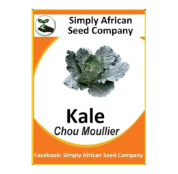 Kale (Chou Moullier) 50’s