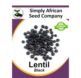 Black Lentil 50’s