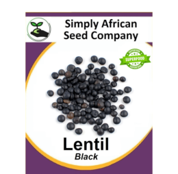 Black Lentil 50’s