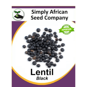 Black Lentil 50's
