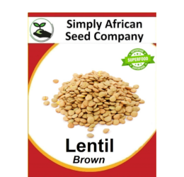 Brown Lentil 50’s