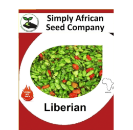 Liberian Chilli 15’s