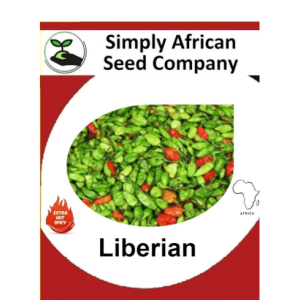 Liberian Chilli 15's