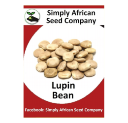 Beans Lupin 15’s