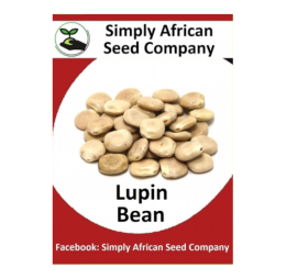 Beans Lupin 15’s