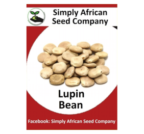 Beans Lupin 15’s