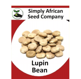 Beans Lupin 15’s