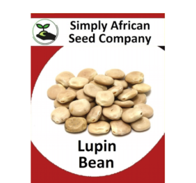 Beans Lupin 15’s
