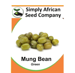 Beans Mung Green 20’s