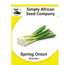 Spring Onion (Everlast) 50’s