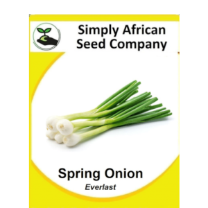 Spring Onion (Everlast) 50's