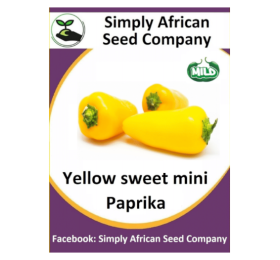 Paprika Mini Yellow 15’s