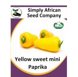Paprika Mini Yellow 15’s