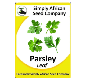 Parsley Leaf 30’s