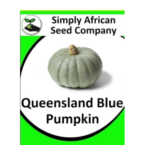 Pumpkin Queensland Blue 20's