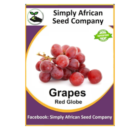 Grape Red Globe 12’s