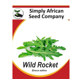 Rocket Wild (Eruca sativa) 50’s