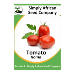 Tomato Roma 30’s