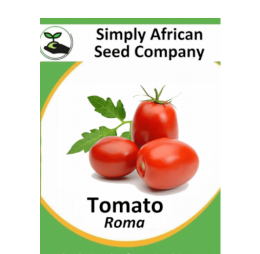 Tomato Roma 30’s