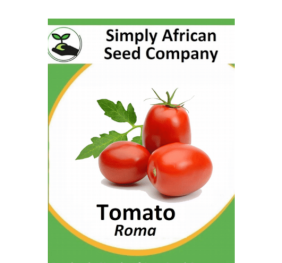Tomato Roma 30’s