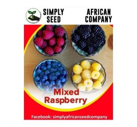 Mixed Raspberry Seeds