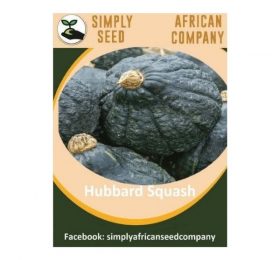 Hubbard Squash Seeds