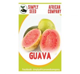 Guava Red Seeds
