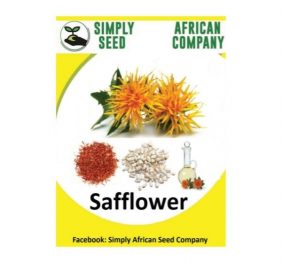 Safflower Seeds