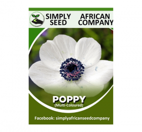Poppy (Mixed Colours) Seeds
