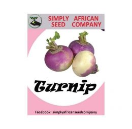 Turnip Mammoth Purple Top Seeds