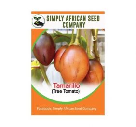 Tamarillo (Tree Tomato) Seeds
