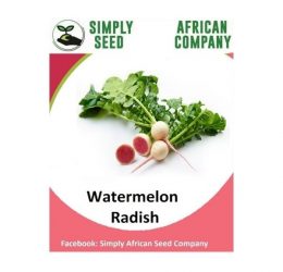 Radish  (Watermelon) Seeds