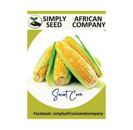 Sweet Corn Seeds