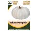 White Boer Pumpkin Seeds