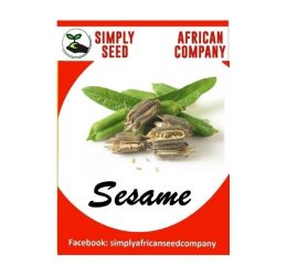 Sesame (White) Seeds