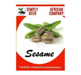 Sesame (White) Seeds