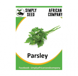 Parsley Italian Leaf Seeds