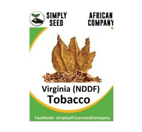 Tobacco (Virginia) NDDF Seeds